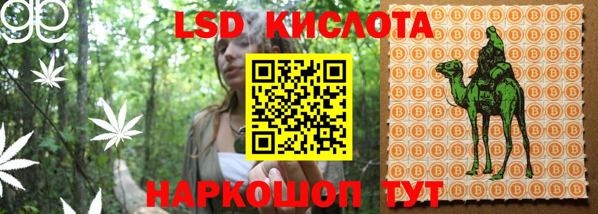 продажа наркотиков  Вход с VPN  Наркотические марки 1,8мг  Узловая  Наркотические марки 1,8мг 