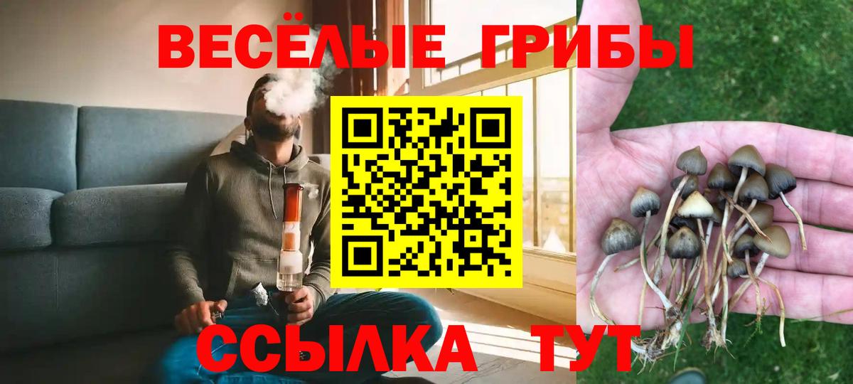 Галлюциногенные грибы Magic Shrooms Узловая